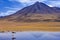 Brine pool and flamingo - Atacama Salt Flats - Chile