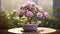 Bring forth the delicate elegance of the smallest mauve bonsai rose plant