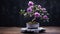 Bring forth the delicate elegance of the smallest mauve bonsai rose plant