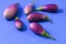 Brinjal aubergines isolated on blue background closeup