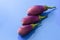 Brinjal aubergines isolated on blue background closeup