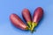 Brinjal aubergines isolated on blue background closeup