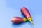 Brinjal aubergines isolated on blue background closeup