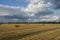 Briquettes of straw lying on a field of mown wheat