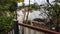 Brisbane, Australia - Feb 28, 2022: View from flooded home. Road, cars, and houses flooded after the heavy rain in Rocklea suburb