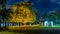 Brisbane, Australia - Illuminated tree in Orleigh Park, West End