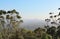 Brisbane Lookout at scenic Mt. Coot-tha