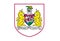 Bristol City FC Logo