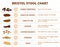 Bristol stool scale, poop types infographic. Digestive problems medical poster, different poops structure. Faeces or