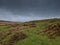 Brisworthy Burrows. Dartmoor National Park Devon uk