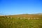 Brisworthy Stone Circle, Dartmoor National Park, Devon