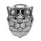 Brithish noble cat wearing leather helmet Aviator, biker, motorcycle Hand drawn illustration for tattoo, emblem, badge