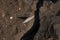 British 0.303 bullet buried in clay fo cliff erosion on east coast of the UK.