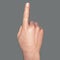 British, Australian and New Zealand Sign Language BANZSL sign number 1