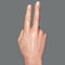 British, Australian and New Zealand Sign Language BANZSL sign number 2