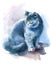 British Blue Short Hair Cat Watercolor Pet Portrait Illustration Hand Painted