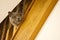 British Blue Shorthair Cat Looking Concerned through Stair Spind