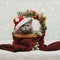 British cat in Santa hat lying in Christmas basket with festive decor. New Year and winter greeting card