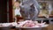 British Cat on Table Sniffs, Licks, Bites Chicken Meat, Paws. Pet Steals Food