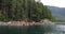 British Columbia Travel. Sea Lions in Large Sea lion Group on Rocks in Beautiful Fjord Nature Landscape Near Bute, Toba