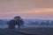 British Countryside Fields at Hazy Sunset