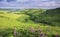 British Farming Fields at Summer in Shropshire