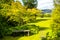 British landscape in Summer