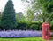 British red telephone booth backed by bright blue flowers