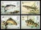 British River Fish Postage Stamps