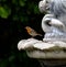 British Robin on a garden feature in Spring.