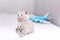 British Shorthair baby looking at a plane