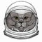 British shorthair cat animal cute face. Vector happy silver British kitten head portrait. Astronaut animal. Vector