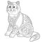 British shorthair cat coloring page
