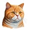 British shorthair cat head portrait realistic in orange and white color.