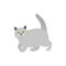 British Shorthair cat isolate on white background. Cartoon cat kitten icon vector. Hand drawn childish vector illustration.