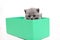 British Shorthair kitten in a green box