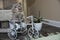 A British shorthair kitten on a metal bike decoration