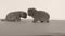 British Shorthair kittens lying on a grey background, copy space