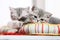 British shorthair kittens napping