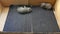 British Shorthair kittens playing in a big box