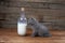 British Shorthair new born kitten near a bottle of milk