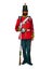 British soldier from 1850`s Crimean War - Infantry