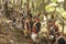 British soldiers during Historical American Revolutionary War Reenactment, Fall Encampment, New Windsor, NY