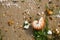 British summer  beach with nautilus pompilius sea shell