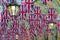 British Union flags in rows with lantern