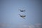 British vintage fighter planes flying together