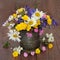 British Wildflowers and Meadow Grasses Arrangement in Old Metal Tin