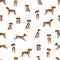 Brittany spaneil seamless pattern. Different poses set. Adult and puppy dogs infographic