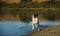 Brittany Spaniel dog running along shore