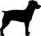 Brittany Spaniel silhouette black